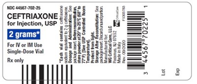 image-04.jpg Ceftriaxone 2 gram vial label - image 04