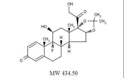 1 (Triamcinolone Acetonide Injectable Suspension Nova 1)