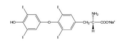 40e0835b-1e38-44a5-9aac-91c01bb070f9-01.jpg Image - 40e0835b 1e38 44a5 9aac 91c01bb070f9 01