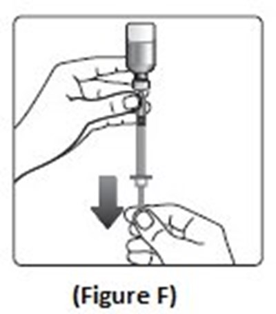 Figure F (Image 13)