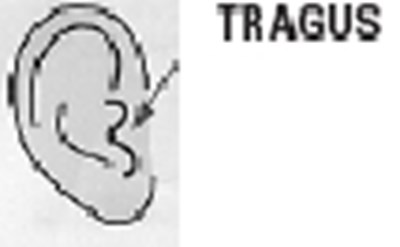 Image 5 (568bf875 Beda 4425 B175 Decd86dcae12 06)