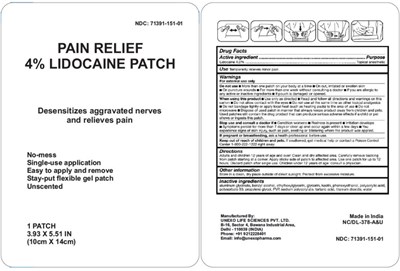 lidocaine-01.jpg Principal Display Panel - One Patch Pouch - lidocaine 01
