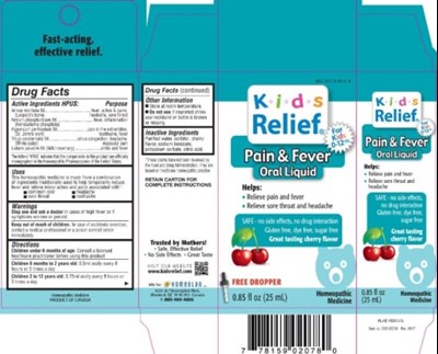 carton - box kidsrlf painfever25ml 2017