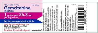 Principal Display Panel – Gemcitabine Injection 1 Gram Vial Label (Gem0g 0004 Viz 08)