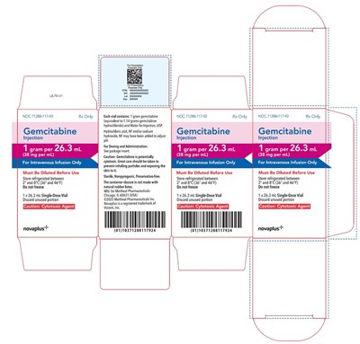 Principal Display Panel – Gemcitabine Injection 1 Gram Carton (Gem0g 0004 Viz 09)