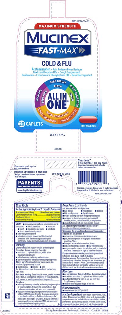 Principal Display Panel (20 Caplet Blister Pack Carton)