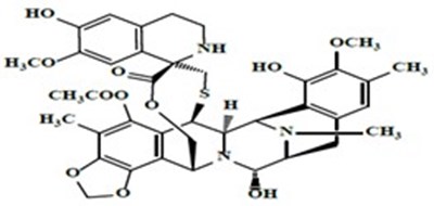 Structure.jpg (Structure)