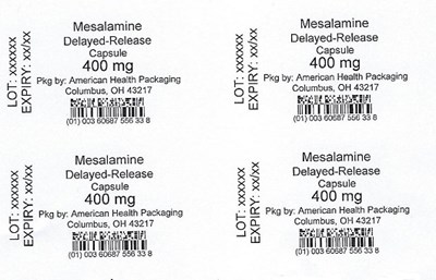 400 mg Mesalamine Dr Capsule Blister (Blister)
