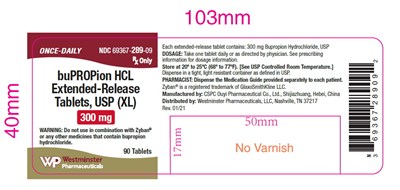bupropion-300mg-90ct.jpg bupropion-300-90ct - bupropion 300mg 90ct