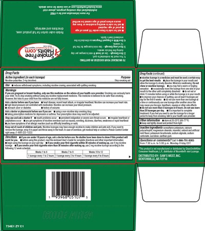 734-zy-nicotine-lozenge-2.jpg (734 Zy Nicotine Lozenge 2)