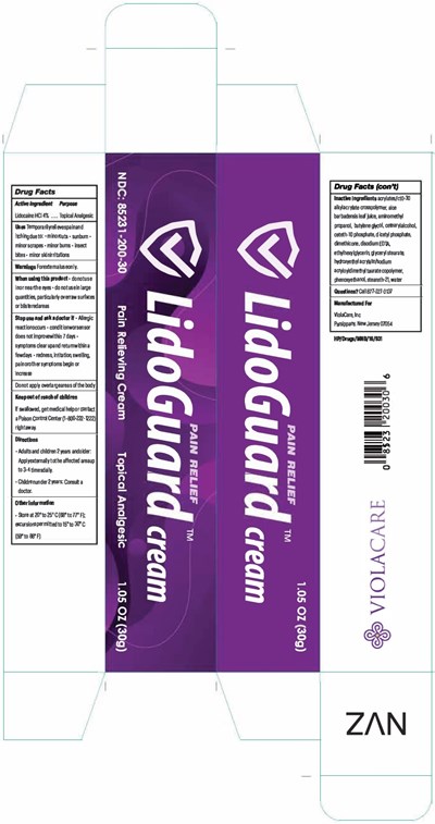 "image Description" (Lidocaine Cream 30g Carton Label)