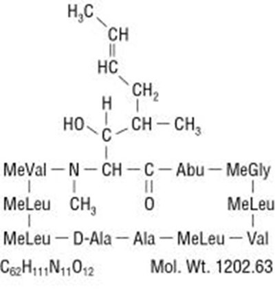 b82f9dde-0d55-4ffe-9662-2c88da347f57-01.jpg Image - b82f9dde 0d55 4ffe 9662 2c88da347f57 01