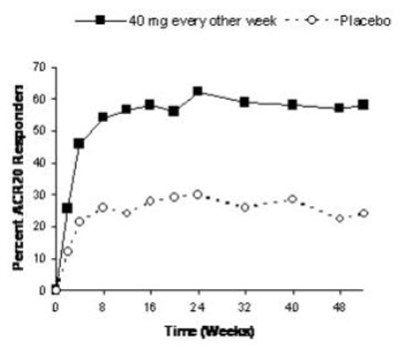 Figure 1 (Image 01)