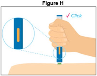 Figure H (Autoinjector)