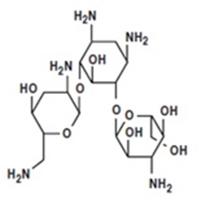 Tobramycin-str (Tobramycin Str)