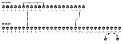 Molecular Formula (Image 01)