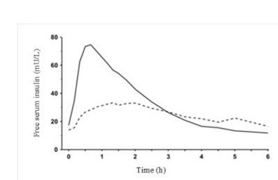 Figure 4 (Image 04)