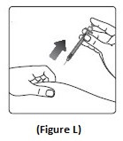 Figure L (Image 19)
