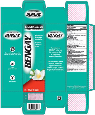 bengay-01.jpg Principal Display Panel - 85 g Tube Carton - bengay 01