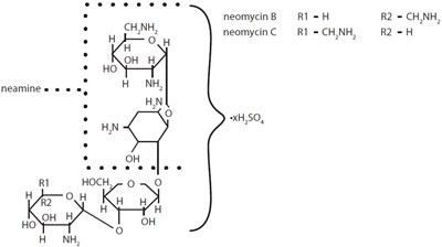 Structural Formula Image 2 (Neomycin Polymyxin B Sulfate Dexamethasone 2)