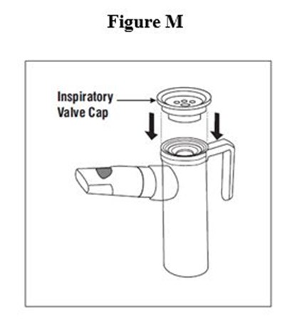 Figure15 (Figure15)