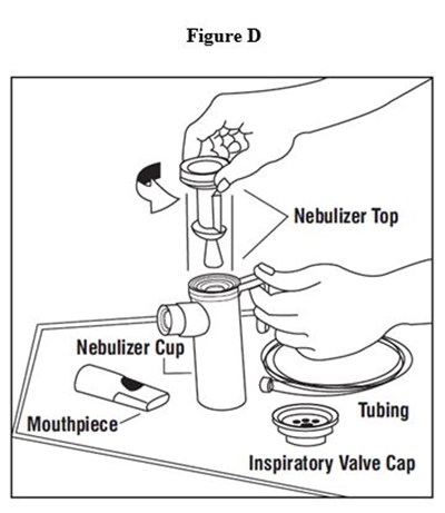 Figure6 (Figure6)