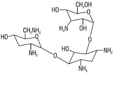 structure.jpg structure - structure