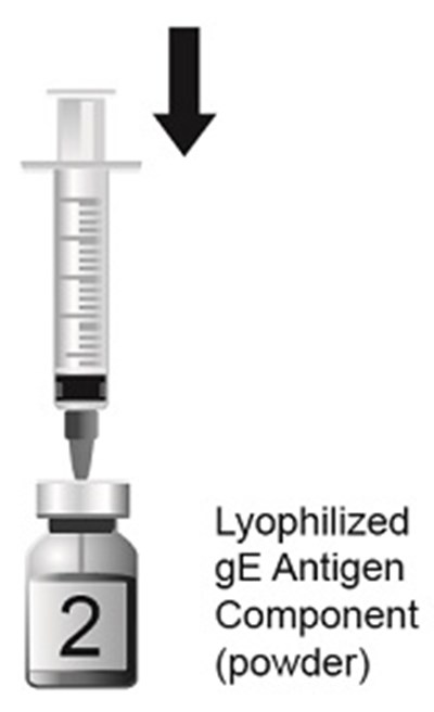 Figure 2 (Shingrix Spl Graphic 02)