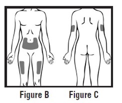 Figurebandc3.jpg (Figurebandc3)