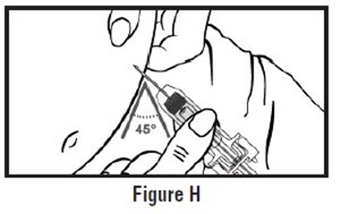 Figureh1.jpg (Figureh1)