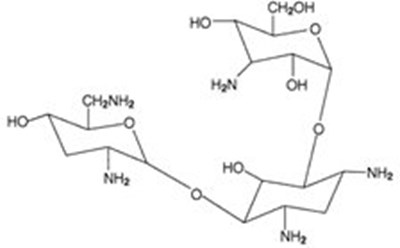 Tobramycin Structural Formula (Image 04)