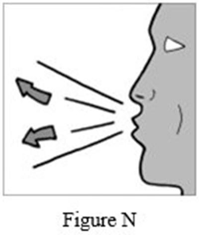 Instructions For Use Figure N (Image 20)