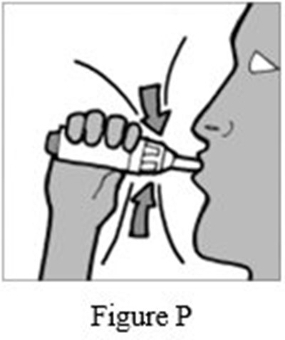 Instructions For Use Figure P (Image 22)