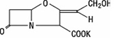 Image (Decription Image 2)