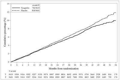hisun-ticagrelor-17.jpg 17 - hisun ticagrelor 17