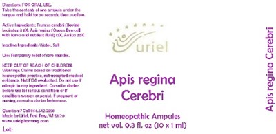 Apisreginacerebriampule (Apisreginacerebriampule)