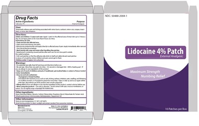 lidocaine-patch-01.jpg PRINCIPAL DISPLAY PANELLidocaine 4% PatchNDC 50488-2004-110 Patches per BoxAlexso, Inc - lidocaine patch 01