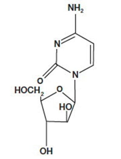 Cyt06 0001 01