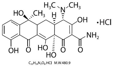 3d44a562-4fde-4867-90e6-433ea752bb3c-01.jpg Structure - 3d44a562 4fde 4867 90e6 433ea752bb3c 01