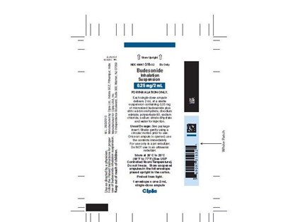 87894b75 a8c5 4d48 81bd 5ad43d66afc3 08