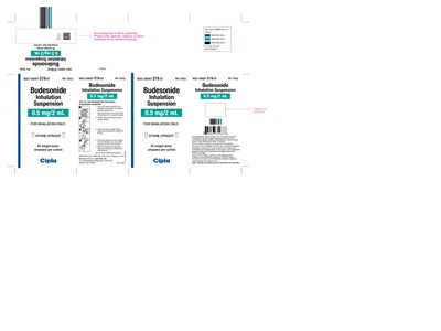 87894b75-a8c5-4d48-81bd-5ad43d66afc3-17.jpg 87894b75 a8c5 4d48 81bd 5ad43d66afc3 17