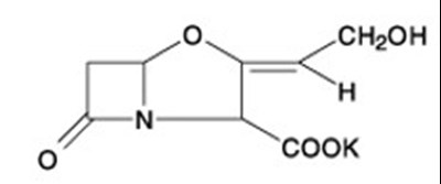 Image Description (Amoxicillin Structure)