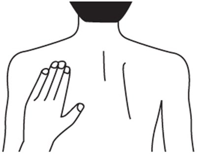 Figure F (Rivastigmine 15)
