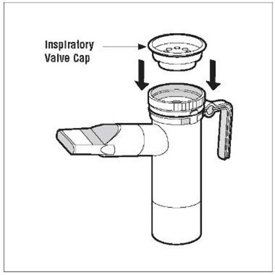 Tobramycin Inhalation Solution Usp 300 mg/5 mL Ampules 56s Carton (Image 16)