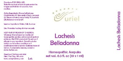 Lachesisbelladonnaampules