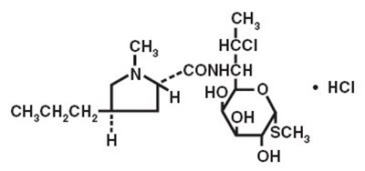 Structure (Structure)