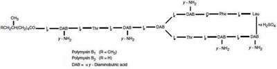 Molecular Structure (80ad4adc 72c3 4398 A639 3d6a6ae9ec17 02)