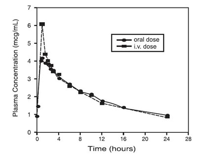 Figure 1 (Image 02)