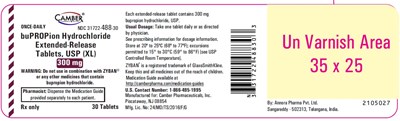 Bupropion300mg30scount (Bupropion300mg30scount)