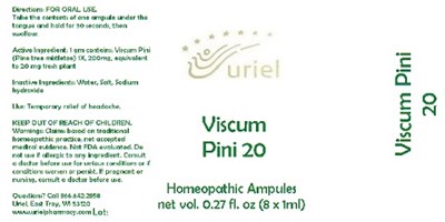 ViscumPini20Ampules.jpg ViscumPini20Ampules